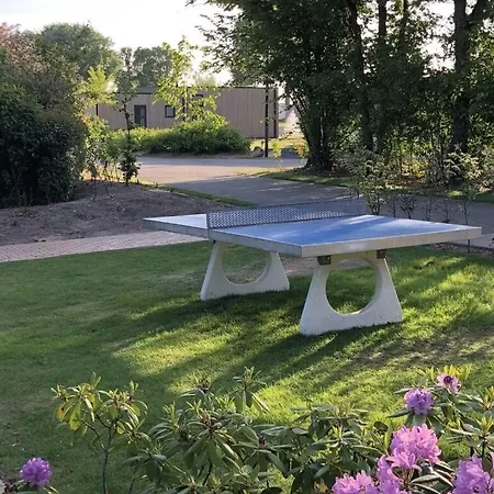 Cube Elite Noteboom 11 Holiday home *